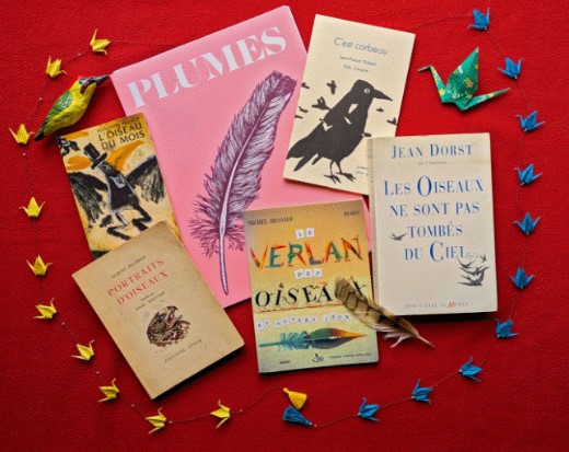 Soirée lectures à voix haute sur les oiseaux